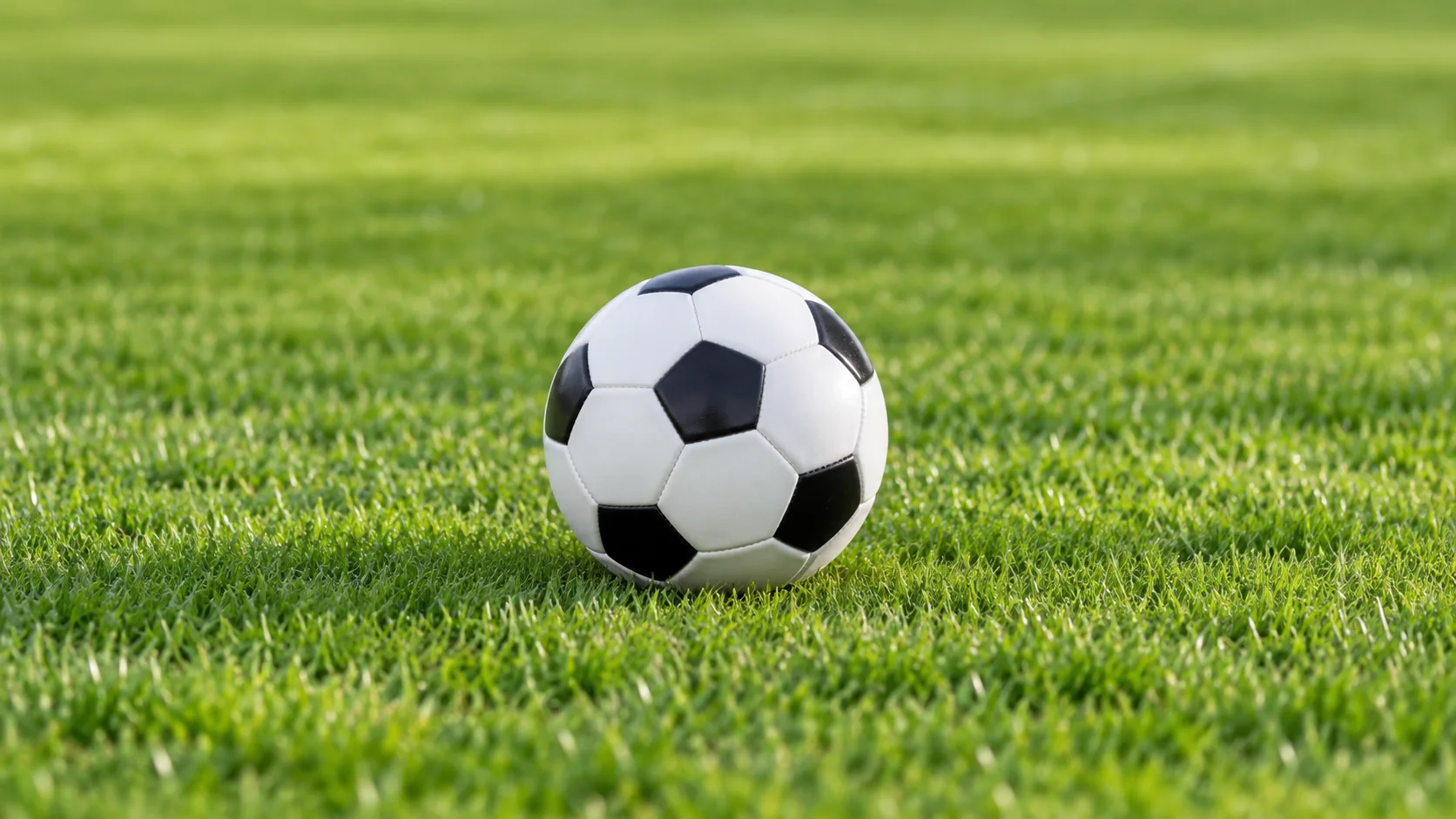 戈亚尼恩斯对决强敌全力以赴争夺胜利展现球队风采
